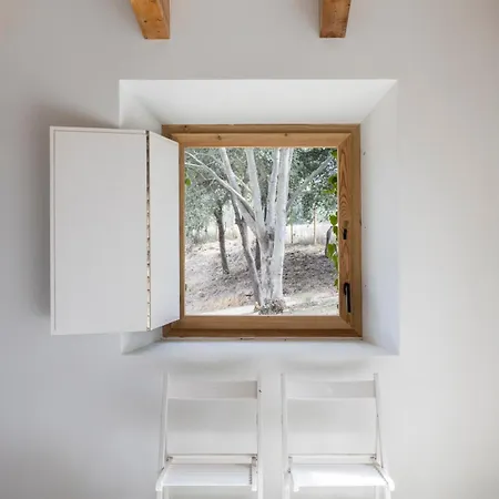 Moli Del Senyor Villa